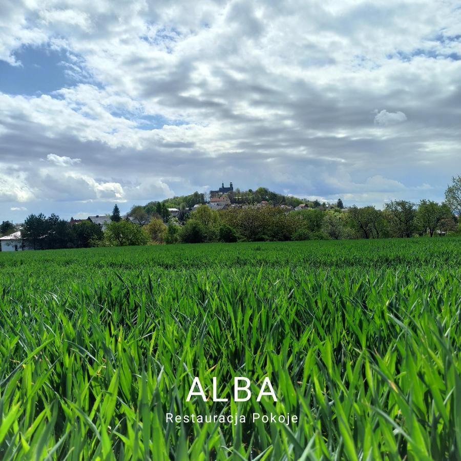 Alba Góra Św Anny Restauracja i Pokoje Hotel Gora Swietej Anny Exterior foto